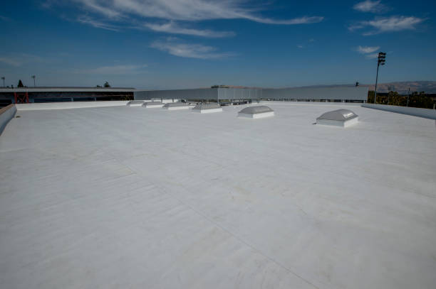 Best Asphalt Shingle Roofing  in Lake Lakengren, OH